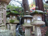 DSC00818.JPG